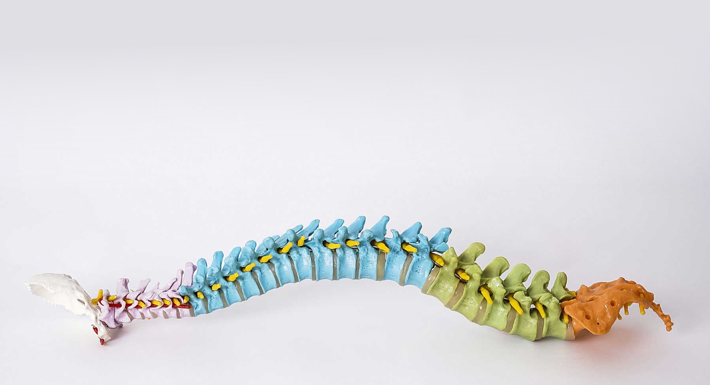 Chiropractie behandeling